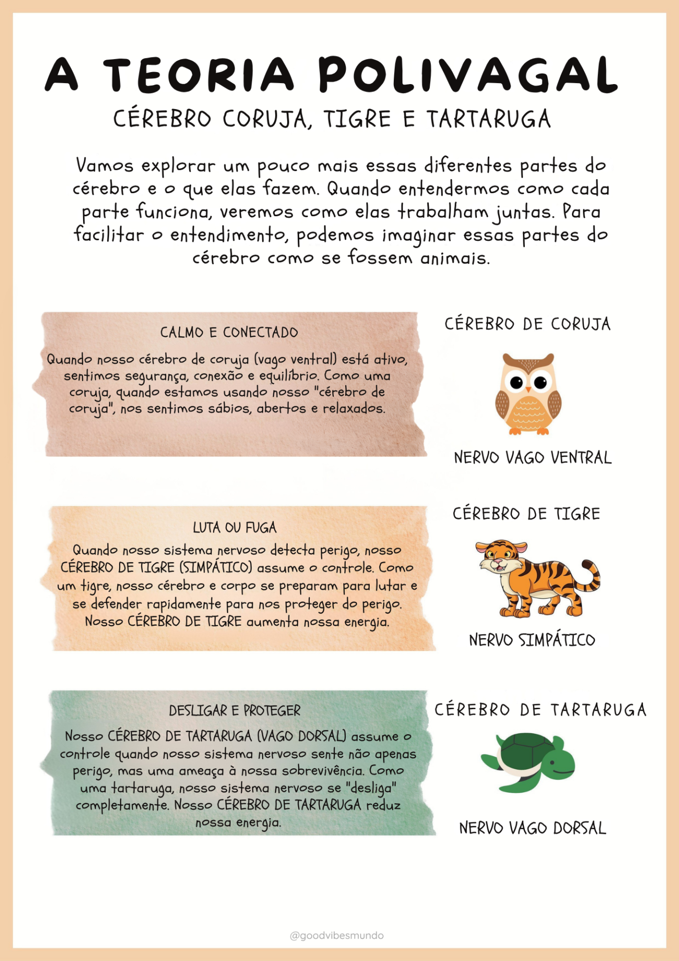 Página interna do caderno