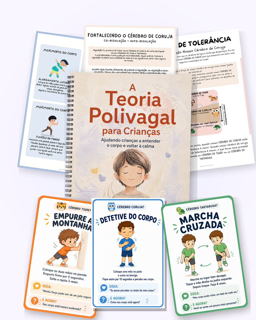 Caderno, páginas internas e cartas do Sistema de Regulação Infantil